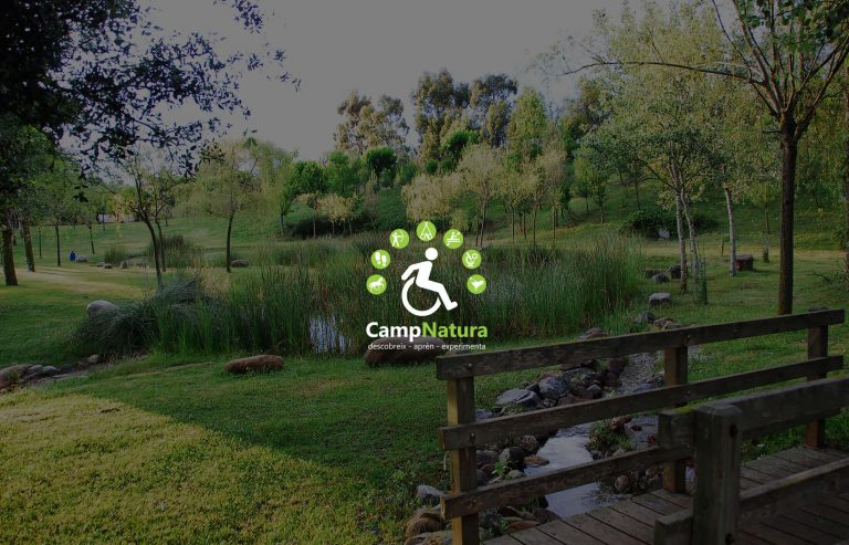 Bringing a smile to children with disabilities